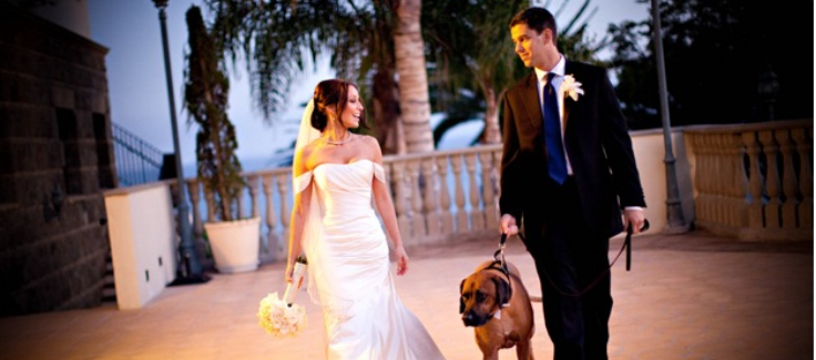 Real California Wedding (with Dog and Food Truck!)