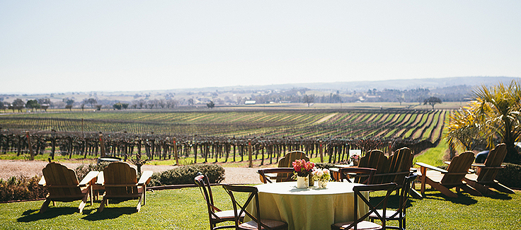 Wine Tasting Party